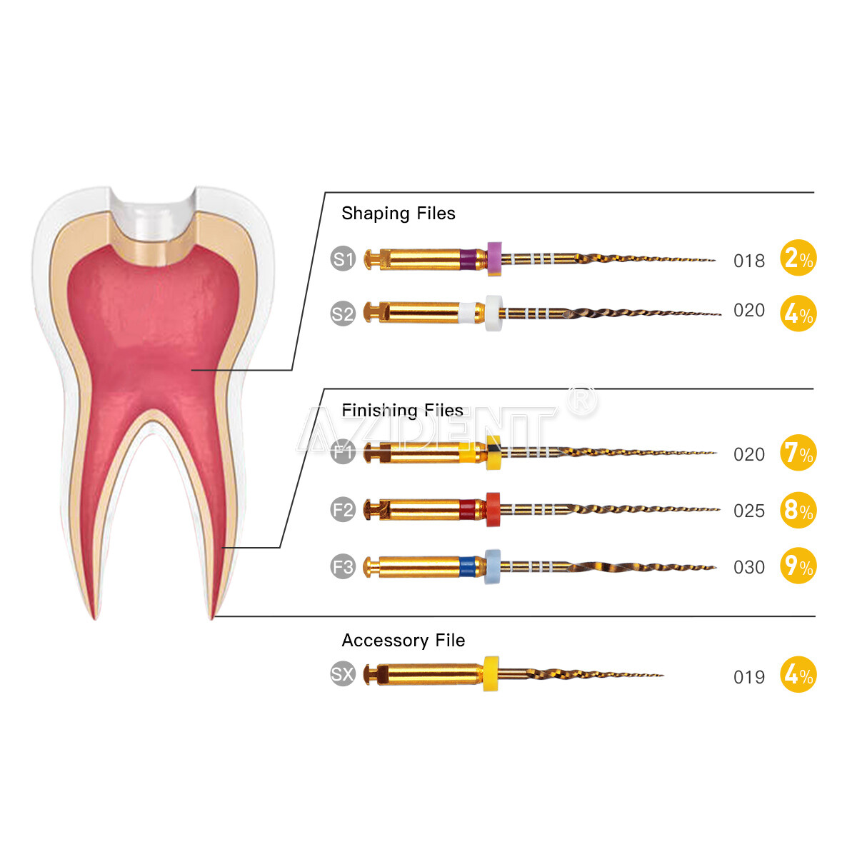 AZDENT Dental Endodontic Gold Taper NITI Rotary Files Engine Use 25mm 6PCS/Packs