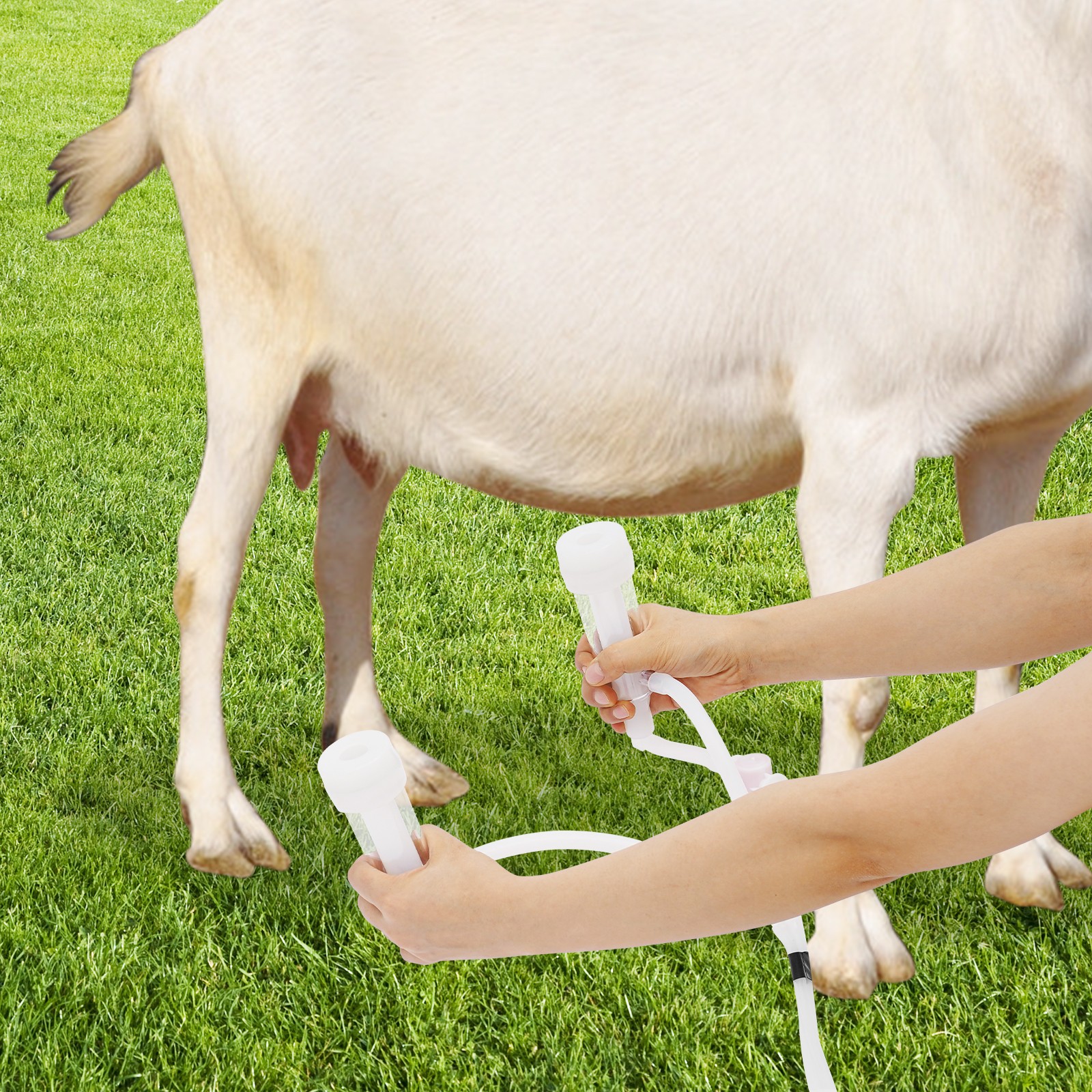 Pulsation Cow Milking Machine, Electric Cow Milker, Milking Machine with Stainle