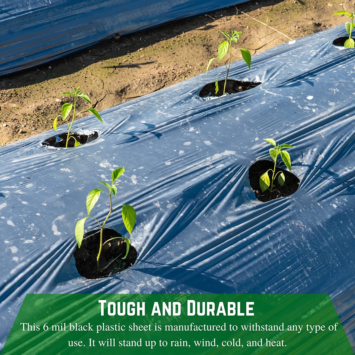 Poly Cover – 6 Mil Black Plastic Sheeting