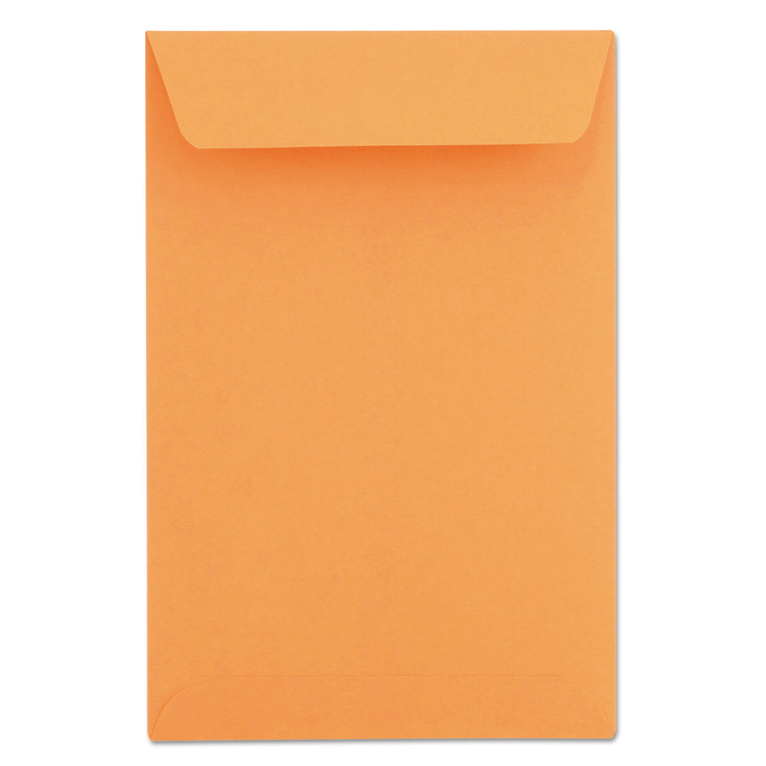 Kraft Catalog Coin Envelope Size: 3 1/8×5 1/2, 2 1/4×3 1/2, 6×9, 9″x12
