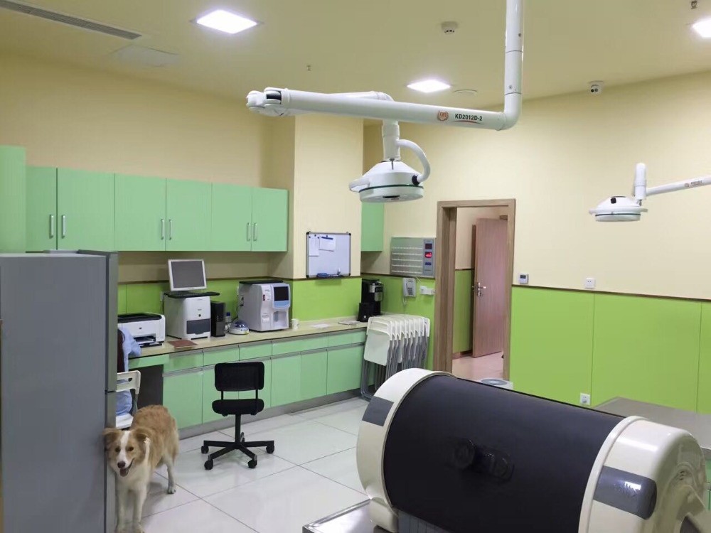 36W LED Ceiling Mounted Surgical Light Dental Medical Shadowless Light 800mm USA