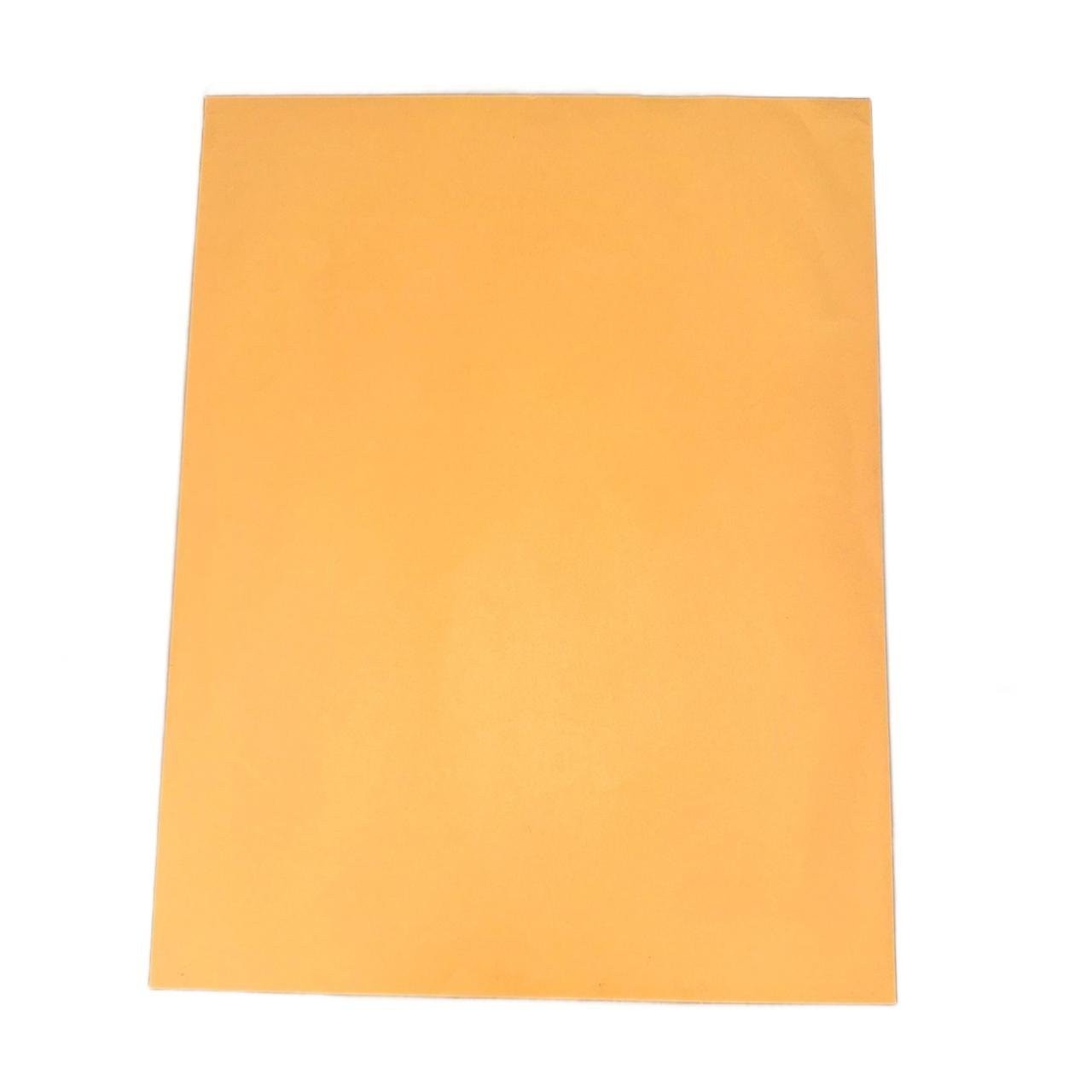 100 – Pack 10″x13″ Kraft Catalog Mailing Envelopes Mailers Peel Self Seal