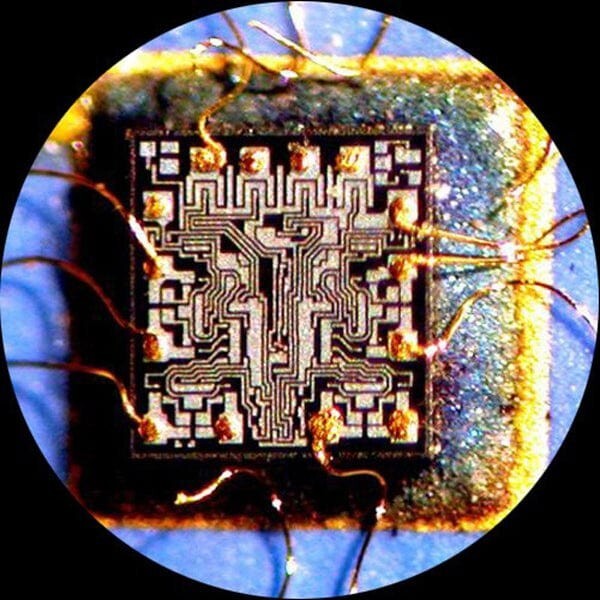 AmScope 7X-135X Trinocular Stereo Microscope 8MP HDMI/WiFi/LAN Camera + Dual LED