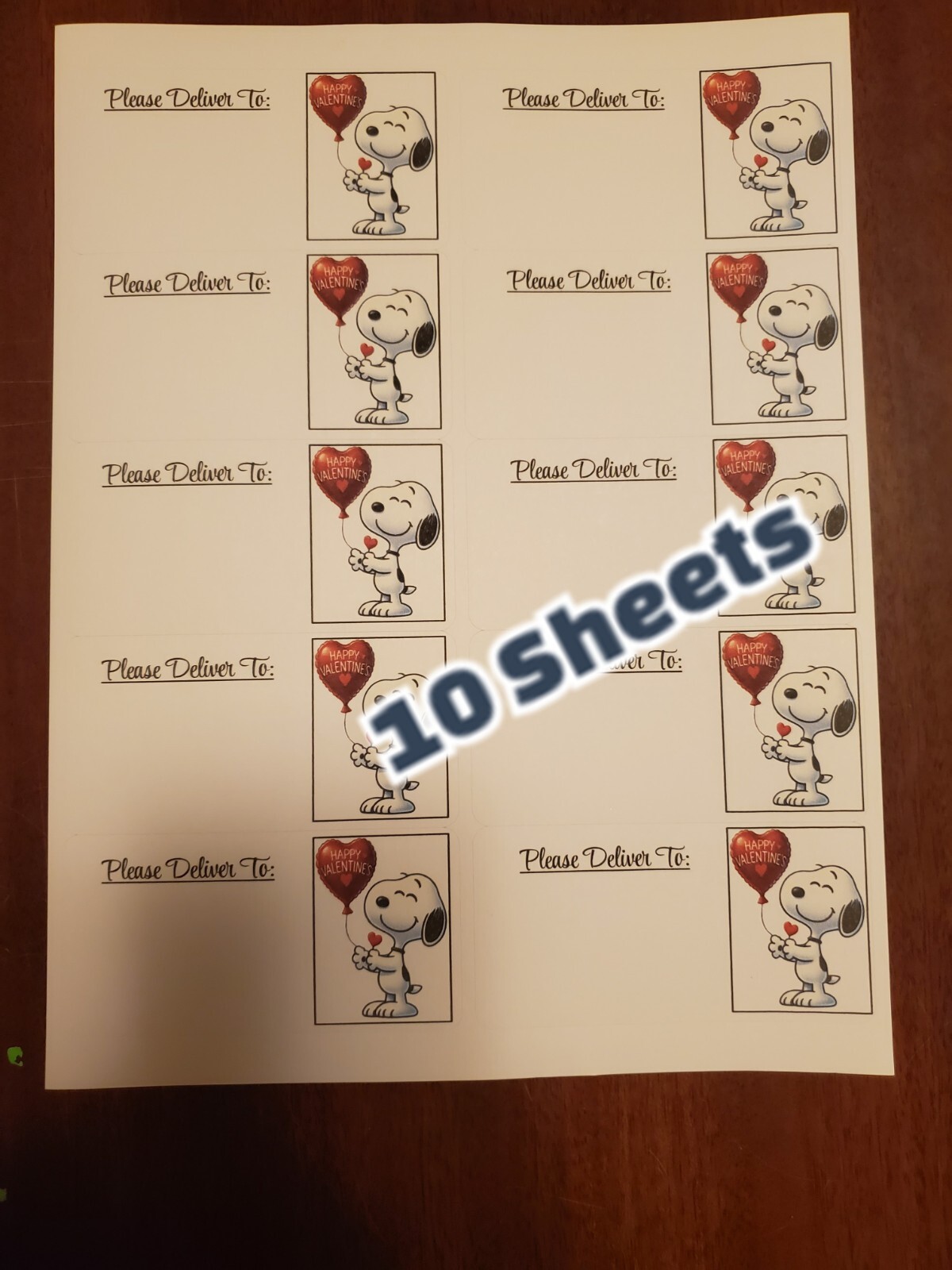 10 Sheets please deliver to address shipping labels (PDT) pen pal, mail